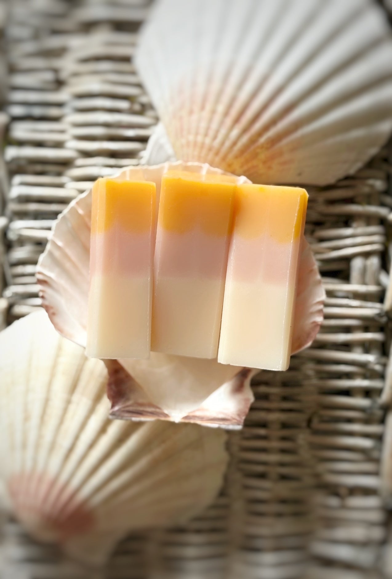 Mini Scallops mini natural handmade soap in a scallops shell luxury travel soap gift inspired by the seaside.