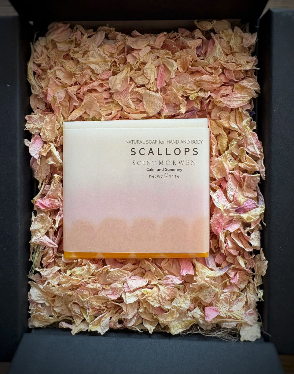 SCALLOPS Soap - The Natural Serene Soap for Soft, Smooth Skin