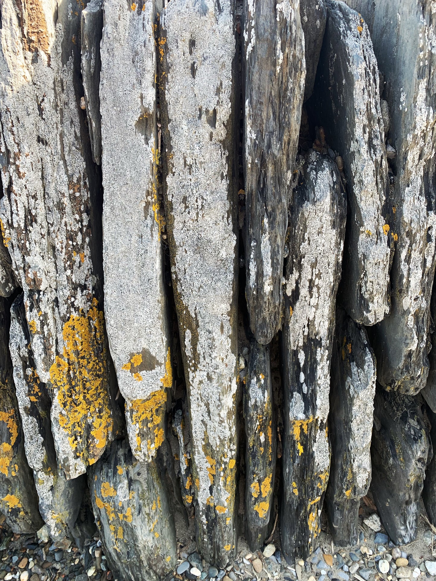 rocks
