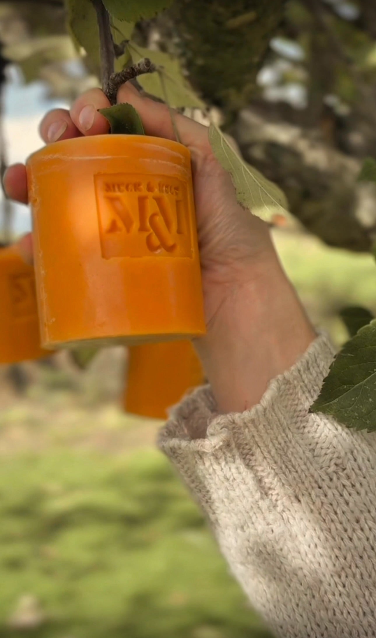 The Yellow Everyday Soap