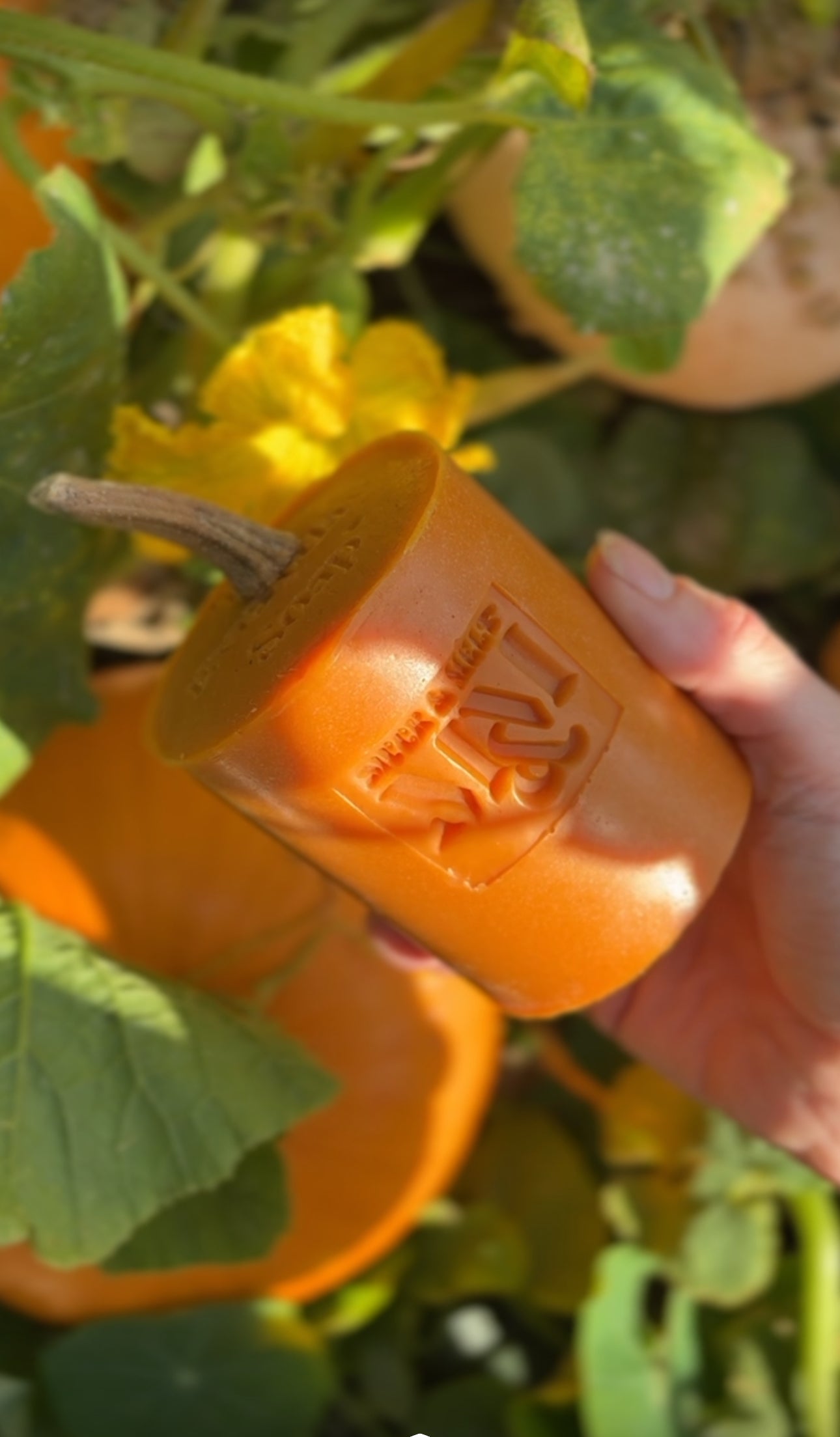 The Orange Everyday Soap