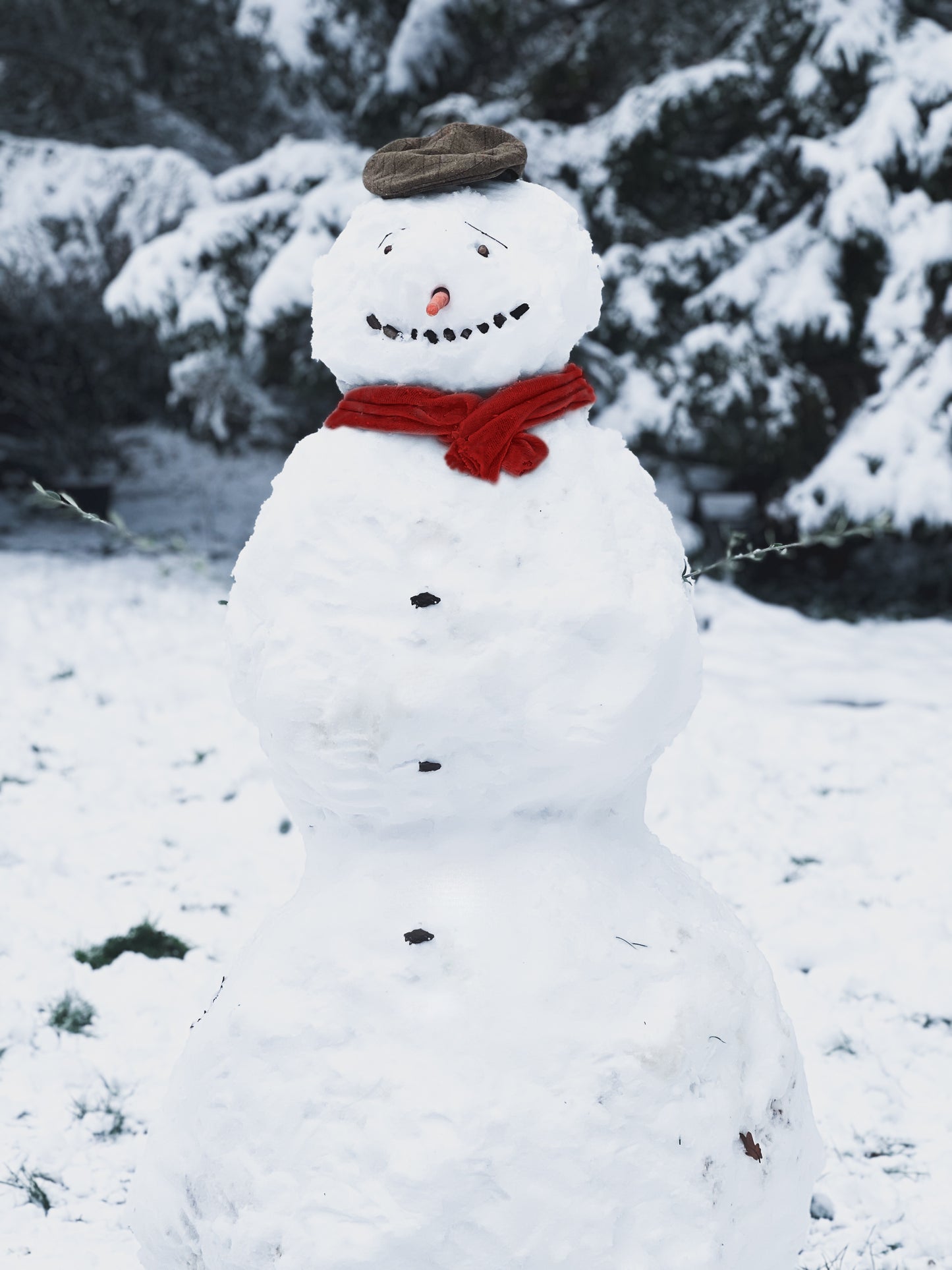 The Red Snowman Soap