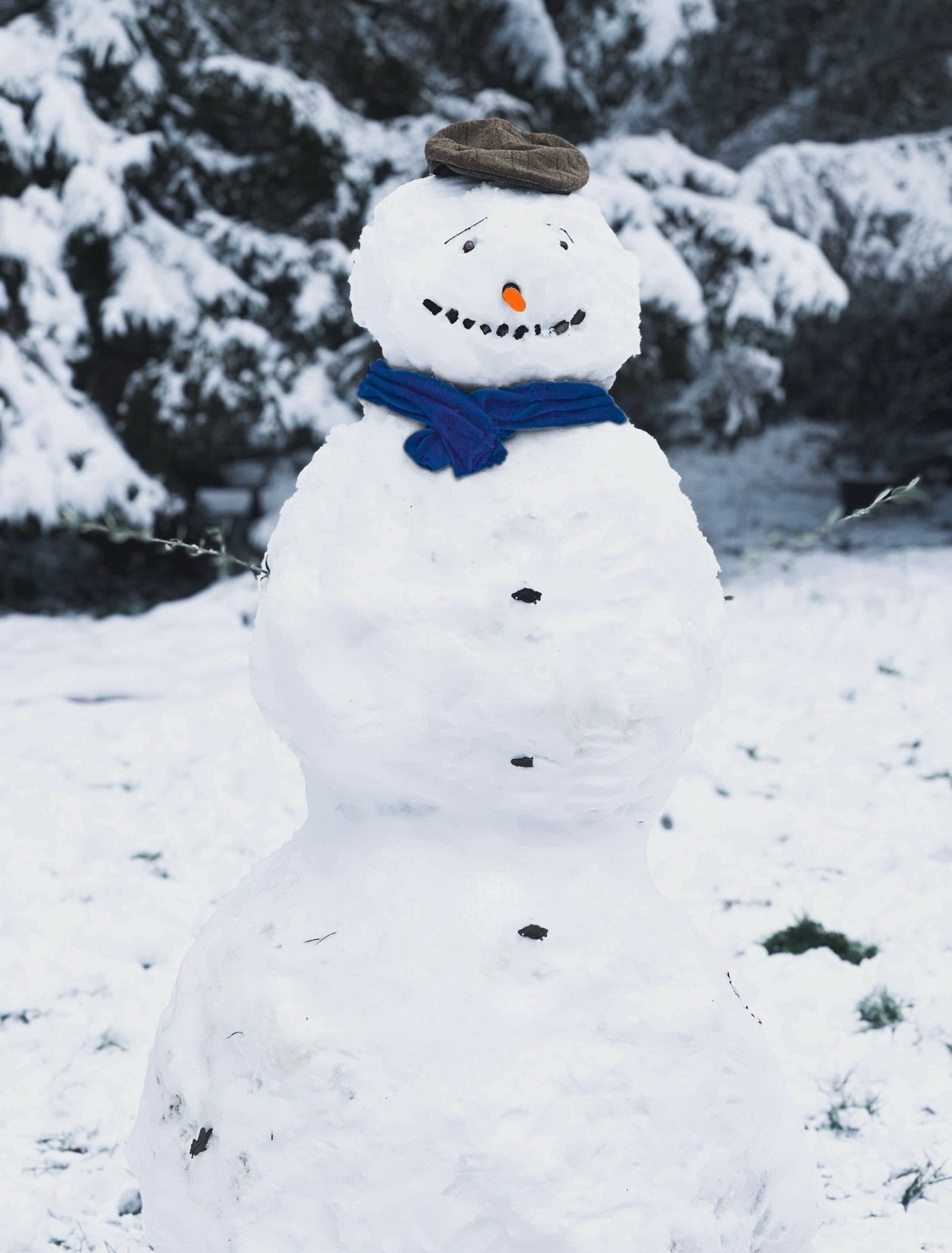 The Blue Snowman Soap