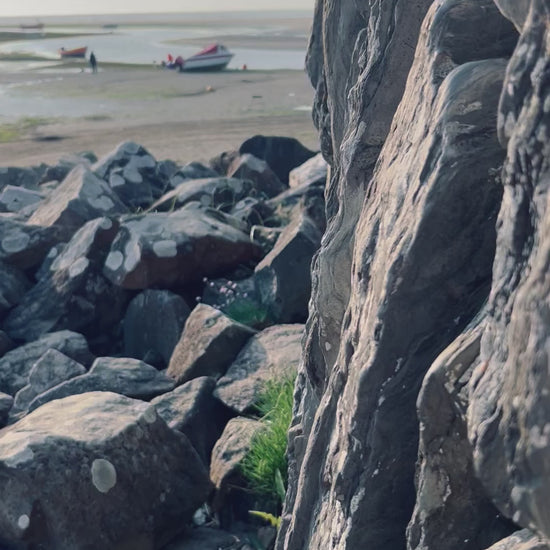 rocks