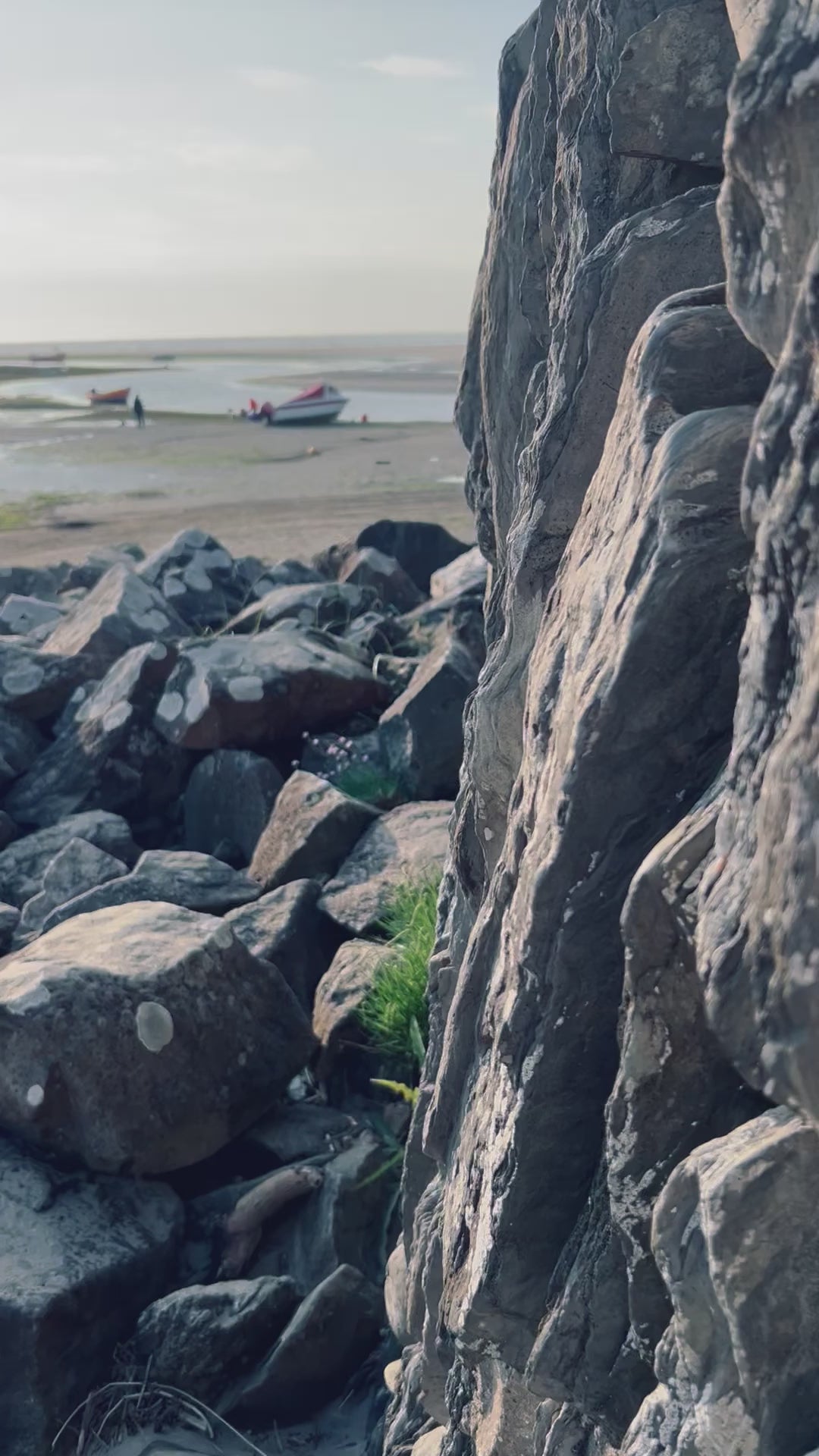 rocks
